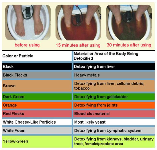 Wellness: In-home Ionic Detox Footbath Treatment -- text to book